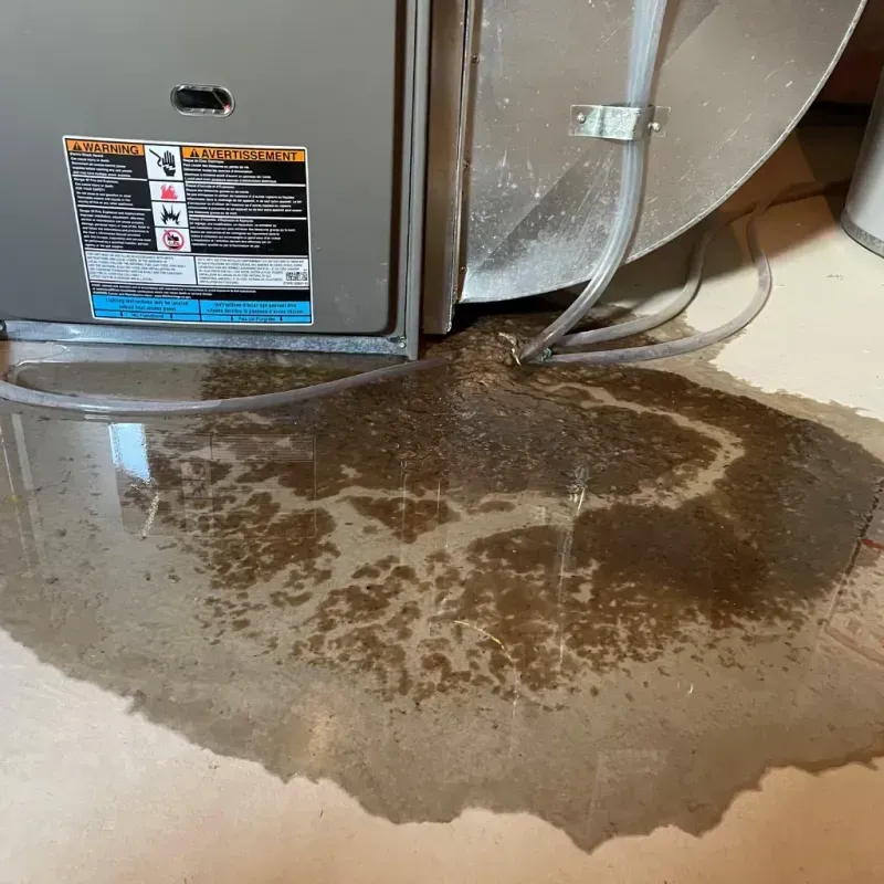 Appliance Leak Cleanup in Fyffe, AL